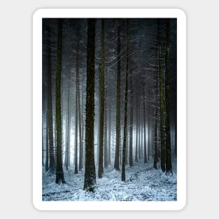 Snowy Forest in the Fog Sticker